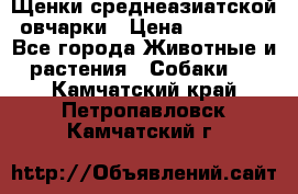 Щенки среднеазиатской овчарки › Цена ­ 20 000 - Все города Животные и растения » Собаки   . Камчатский край,Петропавловск-Камчатский г.